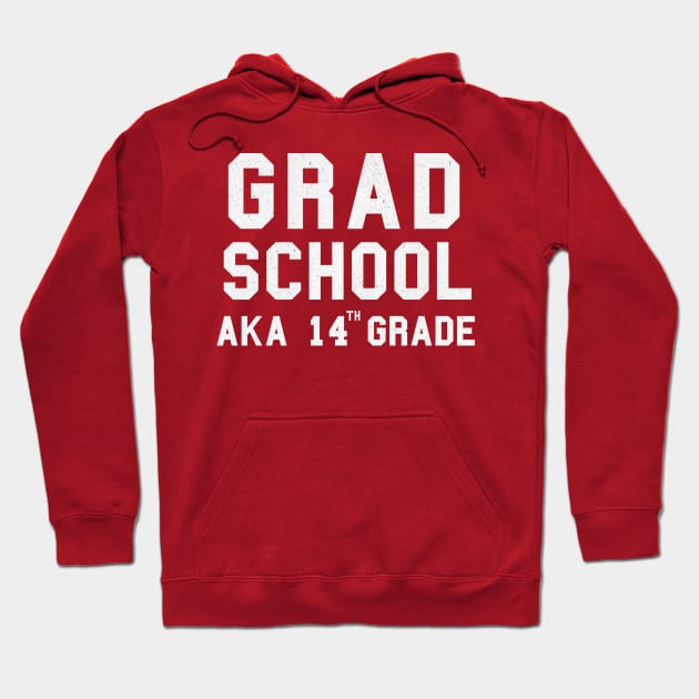 Grad School - 14th Grade Hoodie by karutees